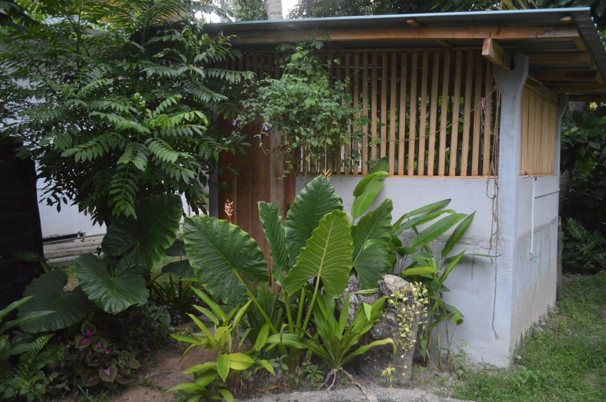 Hotel Coconut Grove - Midigama East Exterior foto